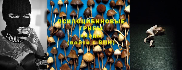 PSILOCYBIN Богородск