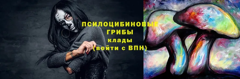 Галлюциногенные грибы Magic Shrooms  где купить   Егорьевск 